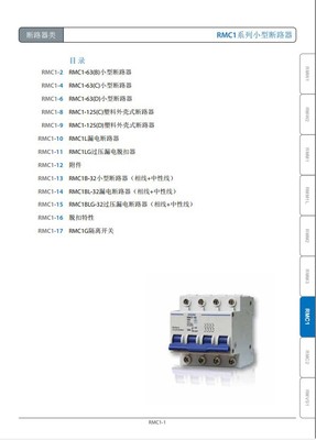 正品【上海上聯(lián)】RMC1-63 D16A/2P系列小型斷路器 優(yōu)質供應與產品圖片詳解