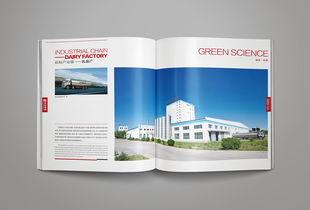 凝練品牌精髓，彰顯卓越風(fēng)范——洛娃集團(tuán)畫冊整合設(shè)計與企業(yè)形象策劃